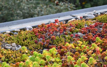 the cost of Groes Fawr green roof installation