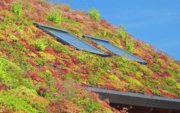 Groes Fawr living roof systems